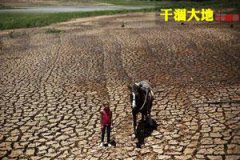 生活中的减肥方法对企业的处罚也列