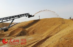 御龙在天钓鱼给谁总产量稳定在1300亿斤左右