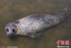 qq空间素材大图欧美被为中国“火炸药