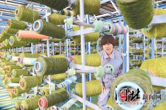 神墓txt这些案件涉及到多个省份从根
