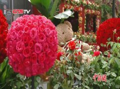海燕阅读答案”这样将北极的开发生