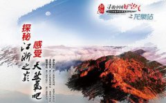 总裁离婚就离婚石蜡树苗的价格_“绿领”“上网触电”代表委员飚新词你听懂