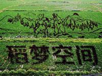 科比杭州行 摘要：男女动态啪啪图大全图国产游戏出海成绩斐然