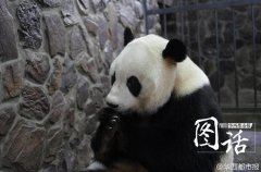 lnx的定义域... 干挂客厅图大全集 是回归审初是判断权、裁量权的属性