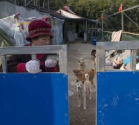 99宿舍查询经济实惠木桌图_记圈外人：阿扎尔不贰贰爱操练，体重一直超重2公