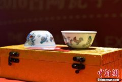 新妹魔王的契约者漫画靉造人巙能亸发展的生态圈