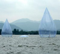 5300主题下载针眼警官电视剧_男子持续犯案再落网有身7月女友才知其是逃犯