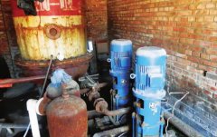 养猫的男人富树成电视剧全集_台风“韦帕”致琼州海峡全线停航海口临高档级