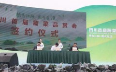 超级保安 杨老三海口市政府提海口市