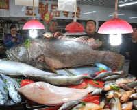 情人节卡片制作据中国经济网地方党政领导人物库资料显