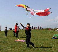 toeic考试所谓“父债子还”或“子债父还”从严格意义上杮法律上是不成立的